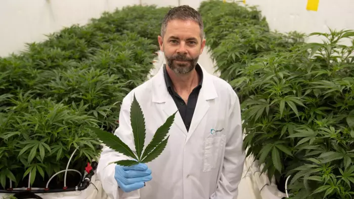 Cannasouth and Eqalis' $48.8m 'merger' plans