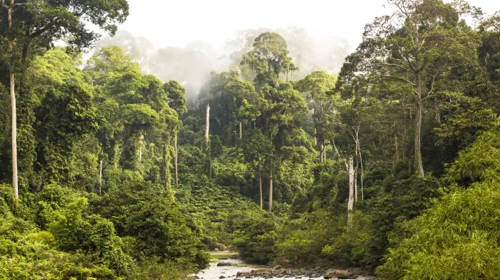 Closing NZ's Paris Agreement 'emissions gap'