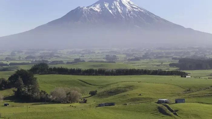 Solar farm scrapes through covid fast-track consenting