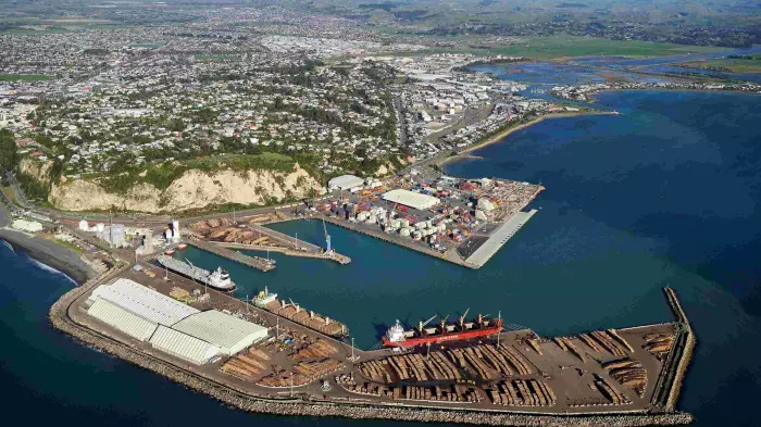Logs and cruise bolster earnings for Napier Port