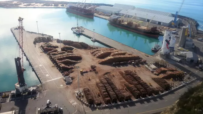 Napier Port guidance up on solid fruit and fibre exports