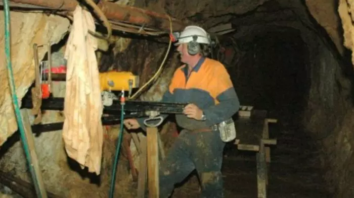 New Talisman in trading halt