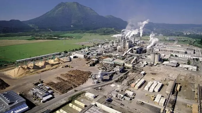 Power costs to feature in Tasman mill review