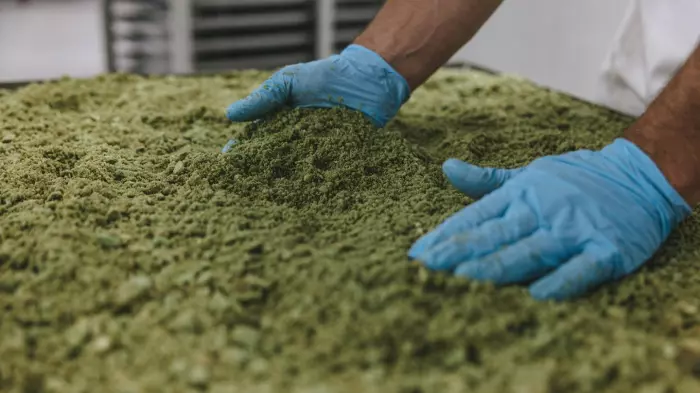 The business and science alliance turning waste into profits