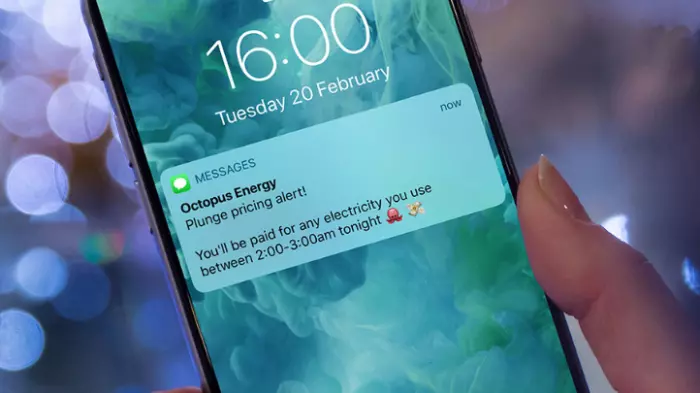 Power retailer Octopus brings different legs to NZ