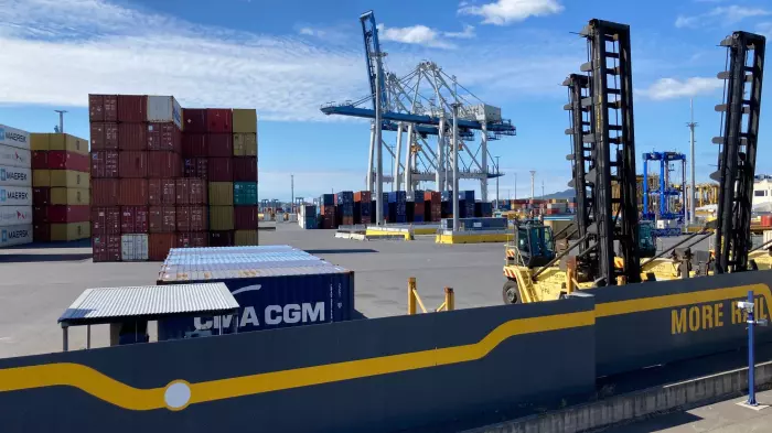 Ports of Auckland pilots back to dividend