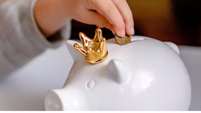 ESG top rating a ray of light for troubled Booster fund manager