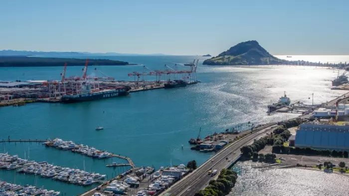 BRIAN GAYNOR: Port companies – Tauranga trounces Auckland