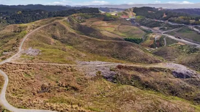 Shanghai billionaire to sell Puhoi forest estate