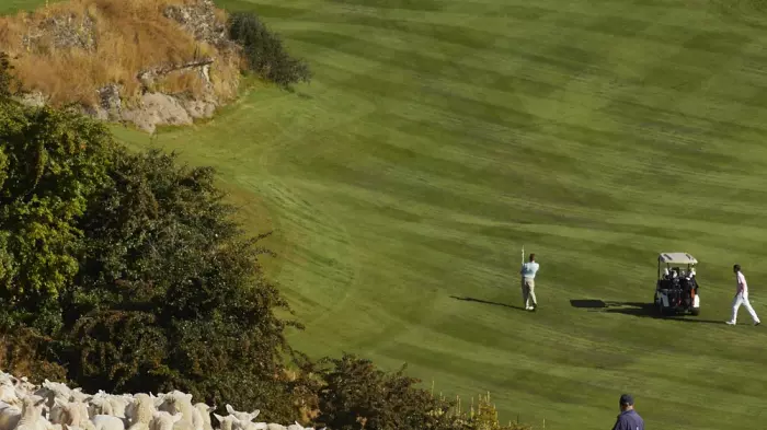 A Queenstown property on a golf resort, sheep included