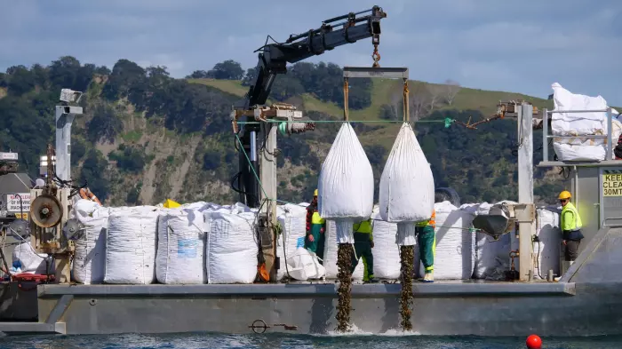 Extreme weather hindering Hauraki Gulf restoration