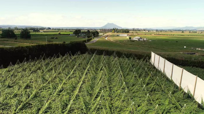 MyFarm KiwiFruit Fund launches $35 million capital raise