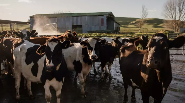 Ruminant Biotech closes $17 million series A raise