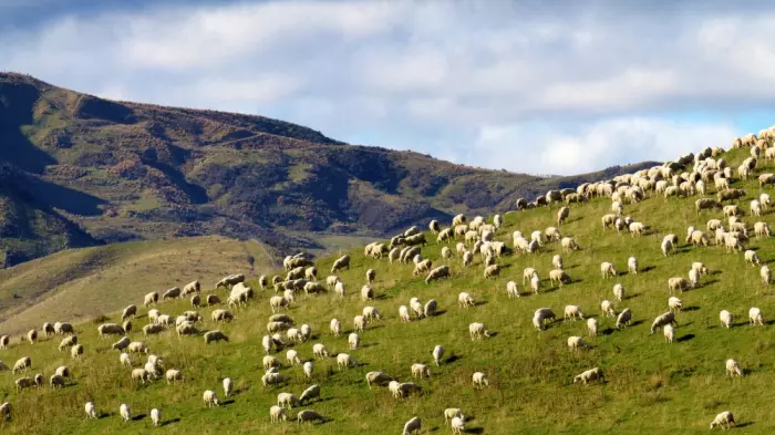 Commerce Commission will look at internet connectivity in rural areas