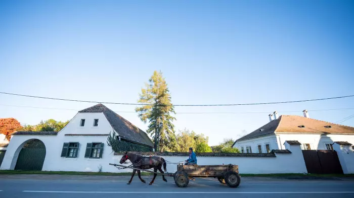 Transylvania's last Saxons revive its stunning ghost villages