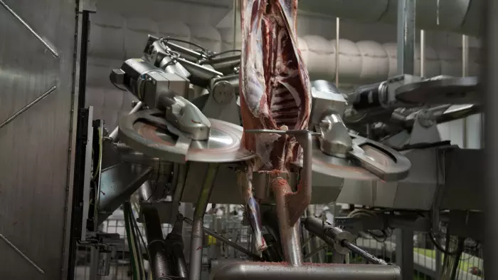 Scott Tech lands $18m in meat processing deals