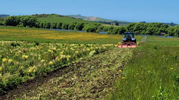 Troubled farm takes councillor to tribunal for dug-up broccoli