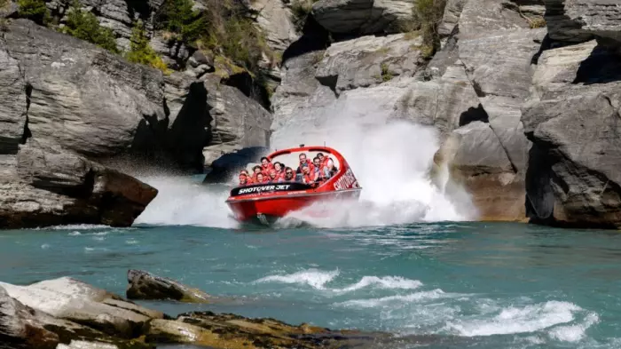 Ngāi Tahu cites covid disruption as forestry, tourism lose ground