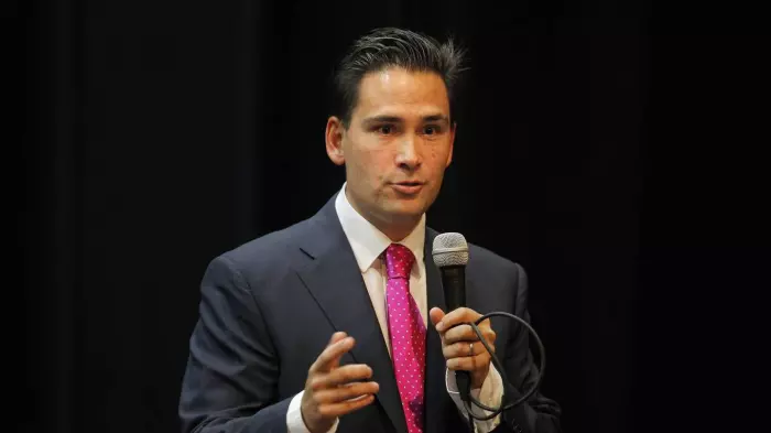 Simon Bridges confirmed as new NZTA chair