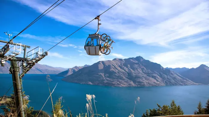 Skyline bumps profits to $71.3m, resumes dividends