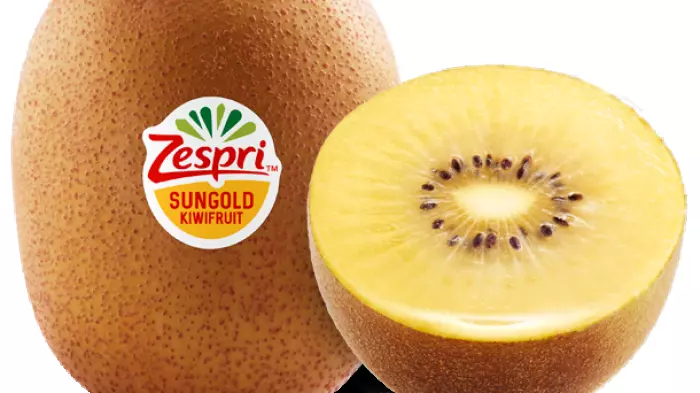Zespri plan to combat illegal kiwifruit in China knocked back