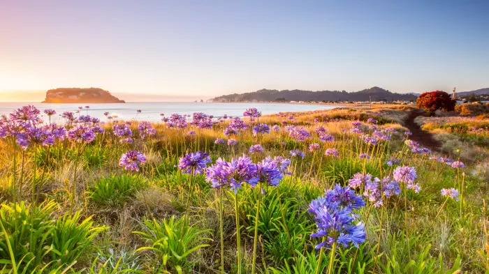 NZ shares spring into September on hopes of economic revival