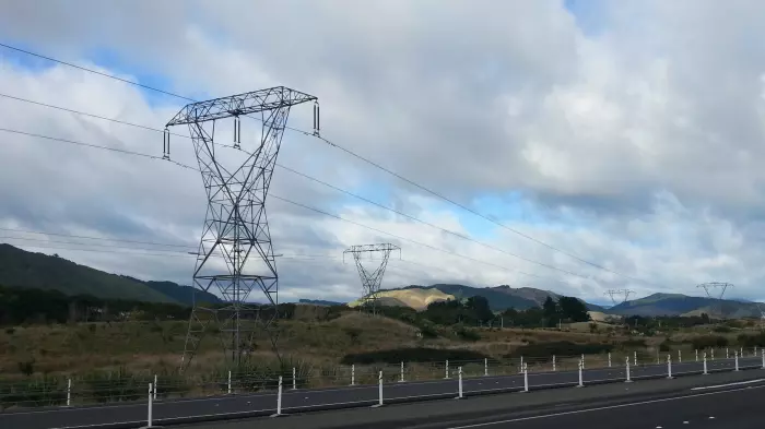 New players sought for electricity futures market