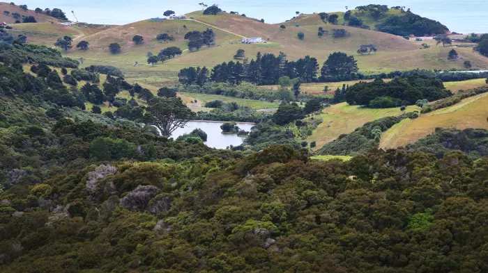 Tahi vs Tahi: Trademark dispute over skincare labelling