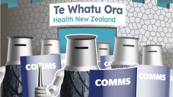 Ombudsman rules Te Whatu Ora acted unlawfully in eight-month delay for info