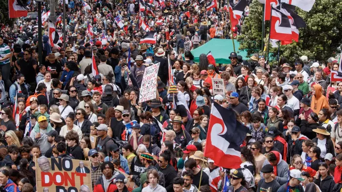 Tens of thousands descend on Wellington in historic day of mass protest