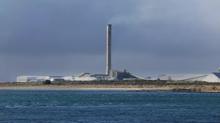 Global scale 'green hydrogen' plant pitched to replace Tiwai smelter