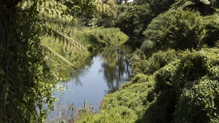 Time to sort out NZ's freshwater modelling chaos: Simon Upton