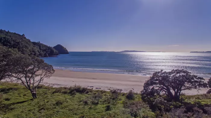 New chums sought for Kerr’s Coromandel paradise