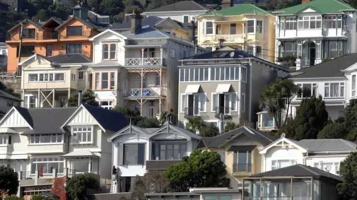 Act and Greens agree Wellington housing report 'absurd'
