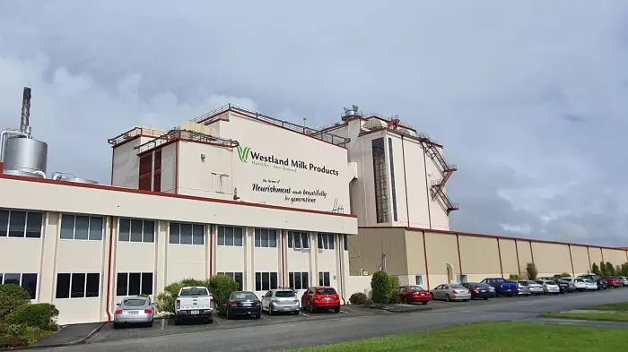 Westland Milk’s shipments up 14% on strong supply and demand