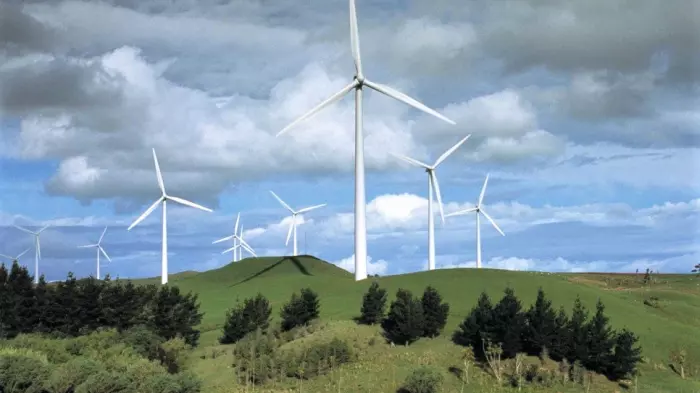 Updated: Electricity stocks shed value