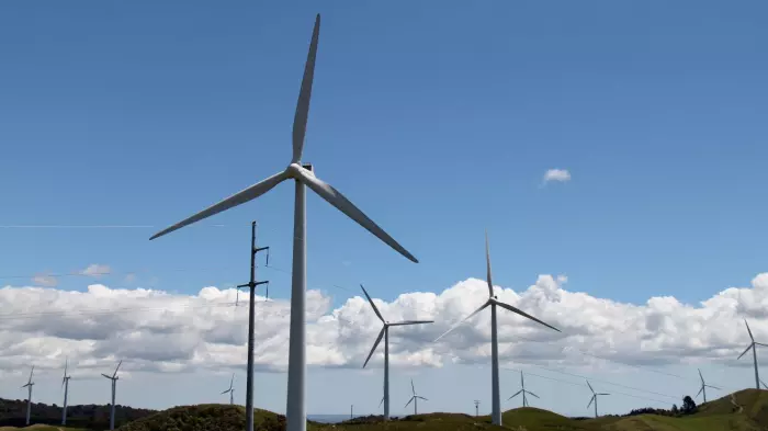 Southland windfarm may face 'insurmountable' issues