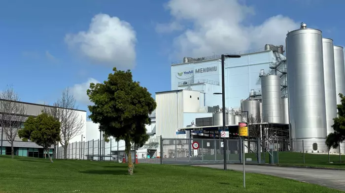 Yashili NZ revenue dropped 42%