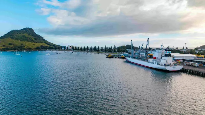 Zespri harvests record NZ crop