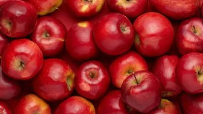 Apple exports slump due to lack of pickers