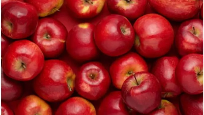 Scales lifts full-year guidance after solid first half