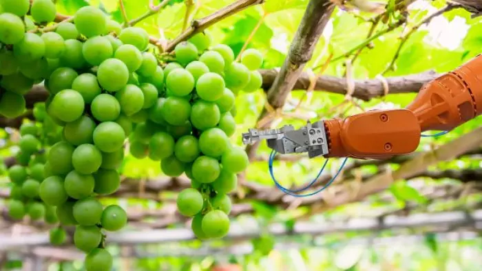 Govt immigration reset ditches low skilled migrants