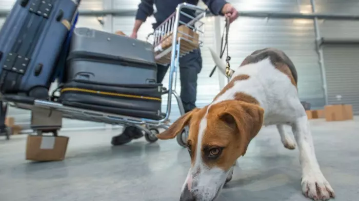 MPI’s front line never gets a day off