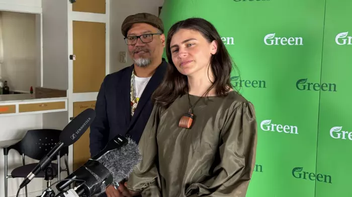 Green Party explores energy renationalisation