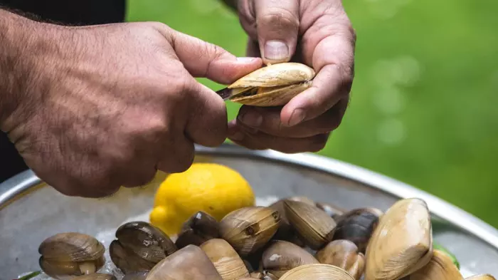 Cloudy Bay Clams moves into receivership