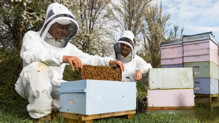 Stewart’s Comvita bid ain’t that sweet