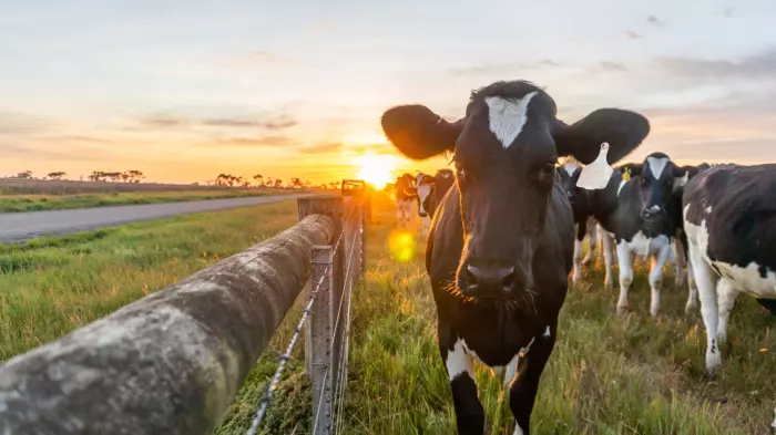 Govt pumps money into tech to reduce ag emissions