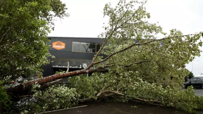 12,000 households regain power overnight in Auckland