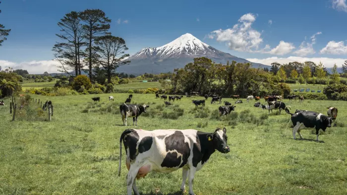 Dairy prices head south