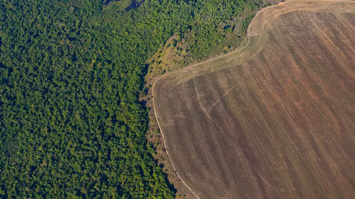Surge in KiwiSaver investments linked to deforestation